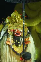 Extra Foto Gallery by The Team  27-07-2025