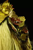 Extra Foto Gallery by The Team  27-07-2025