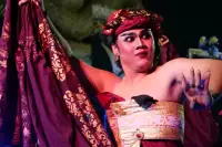 Lovina Festival Picture Gallery 24-07-2025 Livestream