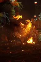 Extra Foto Gallery by The Team  27-07-2025