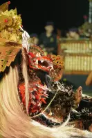 Extra Foto Gallery by The Team  27-07-2025