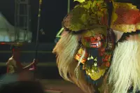 Extra Foto Gallery by The Team  27-07-2025