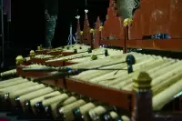 Lovina Festival Picture Gallery 26-07-2025 Livestream