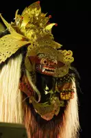 Extra Foto Gallery by The Team  27-07-2025