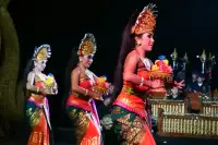 Lovina Festival Picture Gallery 27-07-2025 Livestream