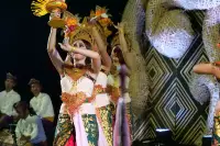 Lovina Festival Picture Gallery 25-07-2025 Livestream