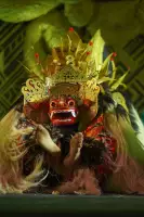 Extra Foto Gallery by The Team  27-07-2025