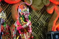 Lovina Festival Picture Gallery 26-07-2025 Livestream