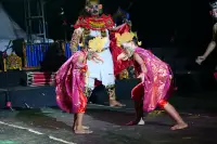 Lovina Festival Picture Gallery 26-07-2025 Livestream