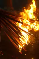 Extra Foto Gallery by The Team  27-07-2025