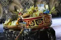 Lovina Festival Picture Gallery 26-07-2025 Livestream