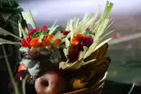 Lovina Festival Picture Gallery 26-07-2025 Livestream