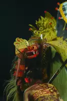 Extra Foto Gallery by The Team  27-07-2025