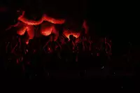 Extra Foto Gallery by The Team  25-07-2025