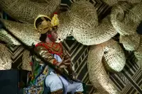 Lovina Festival Picture Gallery 26-07-2025 Livestream