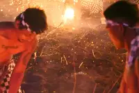 Lovina Festival Picture Gallery 27-07-2025 Livestream