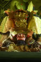 Extra Foto Gallery by The Team  27-07-2025