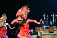 Lovina Festival Picture Gallery 27-07-2025 Livestream