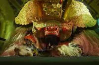 Extra Foto Gallery by The Team  27-07-2025