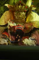 Extra Foto Gallery by The Team  27-07-2025