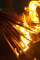 Extra Foto Gallery by The Team  27-07-2025