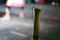 Lovina Festival Picture Gallery 26-07-2025 Livestream