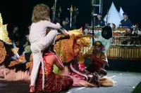 Lovina Festival Picture Gallery 27-07-2025 Livestream