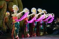 Lovina Festival Picture Gallery 27-07-2025 Livestream