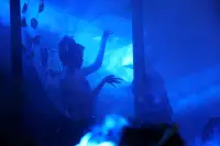 Lovina Festival Picture Gallery 24-07-2025 Livestream