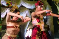 Lovina Festival Picture Gallery 24-07-2025 Livestream