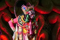 Lovina Festival Picture Gallery 26-07-2025 Livestream