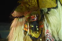 Extra Foto Gallery by The Team  27-07-2025