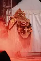 Extra Foto Gallery by The Team  25-07-2025