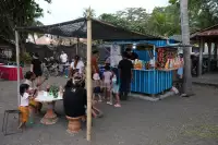 Lovina Festival Picture Gallery 24-07-2025 Livestream