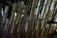 Lovina Festival Picture Gallery 26-07-2025 Livestream