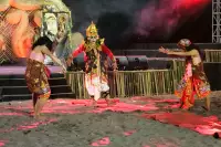 Lovina Festival Picture Gallery 24-07-2025 Livestream