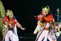 Lovina Festival Picture Gallery 26-07-2025 Livestream