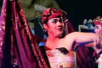 Lovina Festival Picture Gallery 24-07-2025 Livestream