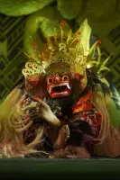 Extra Foto Gallery by The Team  27-07-2025