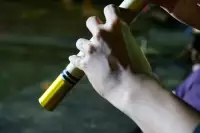 Lovina Festival Picture Gallery 26-07-2025 Livestream