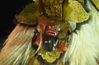 Extra Foto Gallery by The Team  27-07-2025