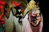 Lovina Festival Picture Gallery 27-07-2025 Livestream