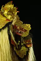 Extra Foto Gallery by The Team  27-07-2025